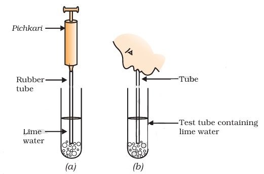 fig 1 18