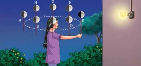 Keeping Time with the Skies Class 8 MCQ fig 1 6