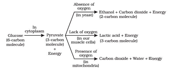 fig 2 18