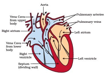 fig 4 16