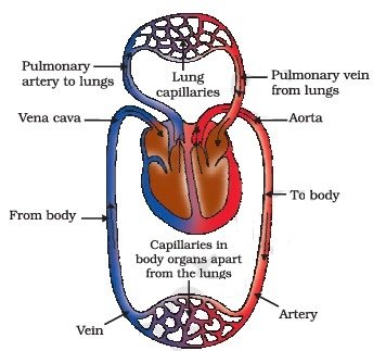fig 5 15