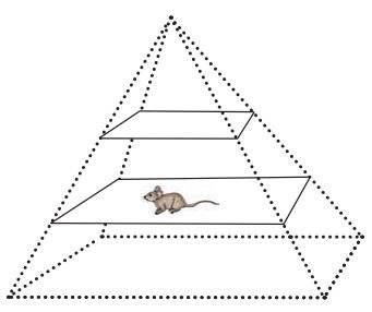 fig 6 4