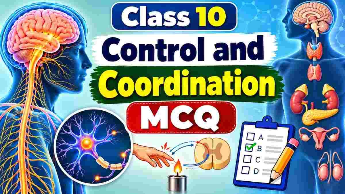 Control and Coordination Class 10 MCQ control and coordination class 10 mcqs