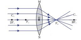 fig 6 1